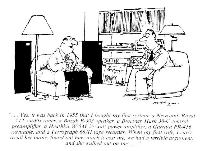 Audiophile Cartoons